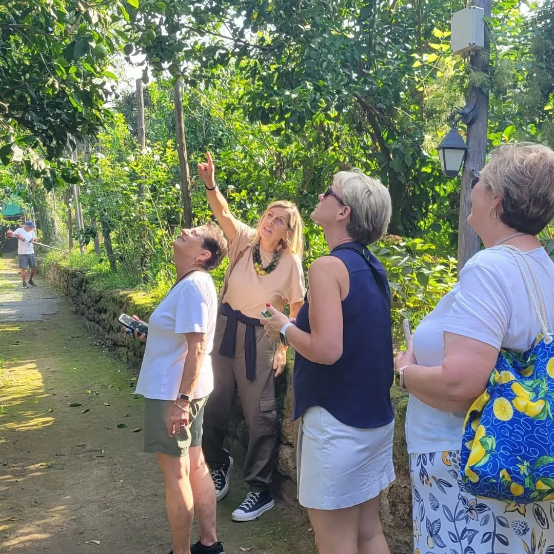 A small group of women on a guided walk through a Sorrento lemon grove
